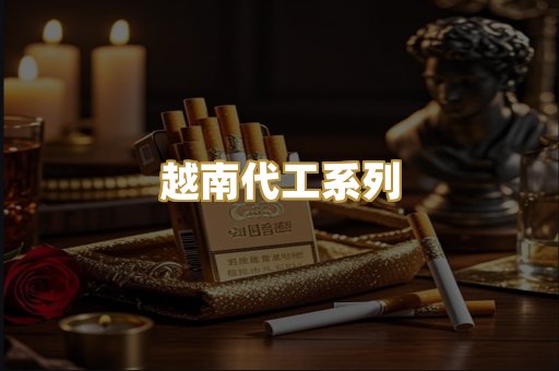 越南代工系列